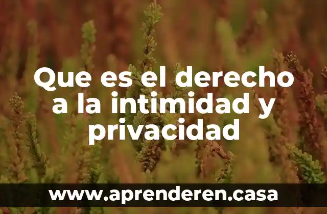 Que es el derecho a la intimidad y privacidad
