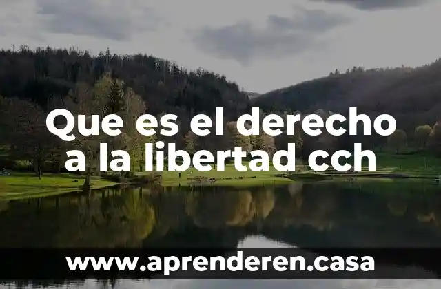 Que es el derecho a la libertad cch