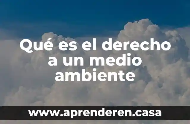 Qué es el derecho a un medio ambiente