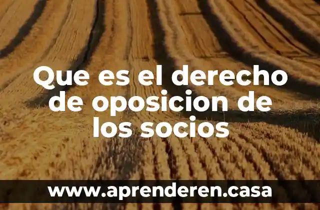 Que es el derecho de oposicion de los socios