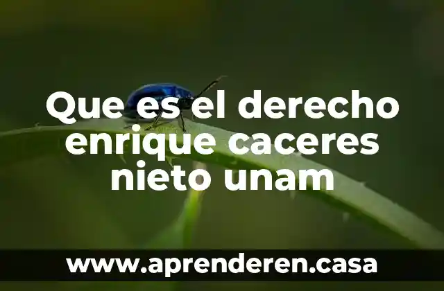 Que es el derecho enrique caceres nieto unam
