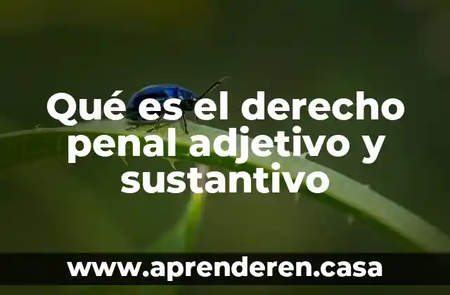 Qué es el derecho penal adjetivo y sustantivo