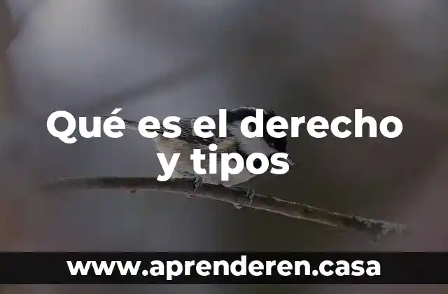 Qué es el derecho y tipos