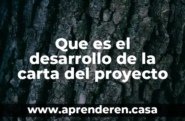 Que es el desarrollo de la carta del proyecto