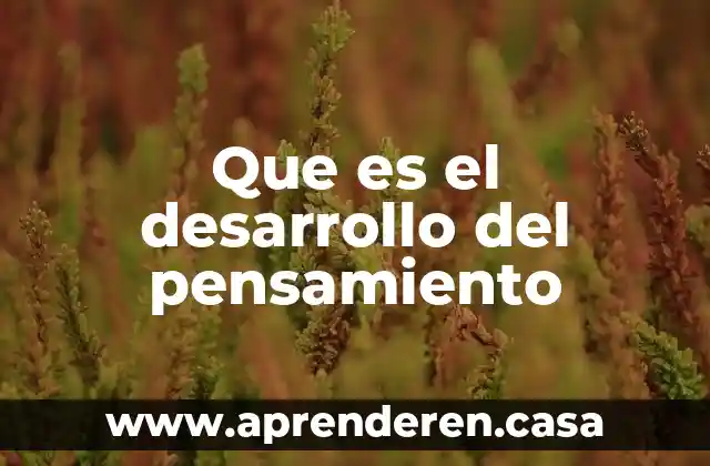 Que es el desarrollo del pensamiento