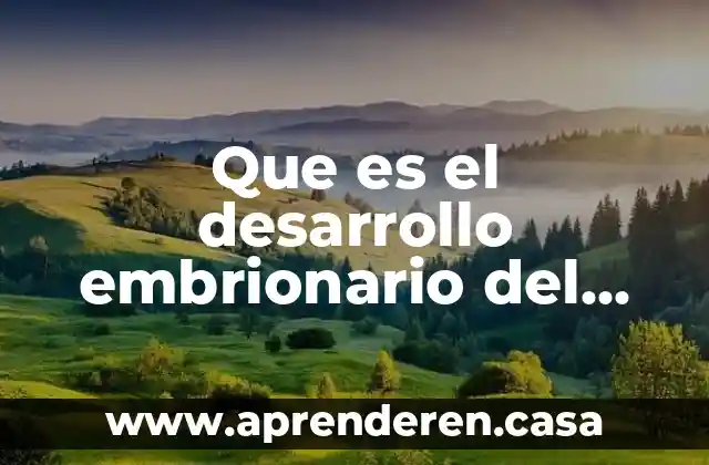 Que es el desarrollo embrionario del ser humano