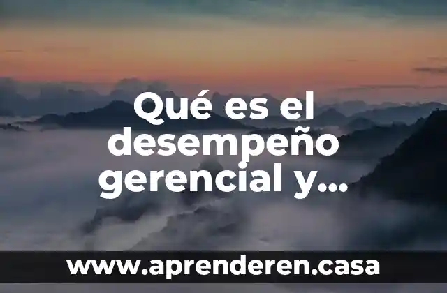 Qué es el desempeño gerencial y organizacional