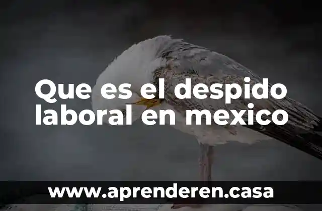 Botana en mexico que es 6 Que es el despido laboral en mexico