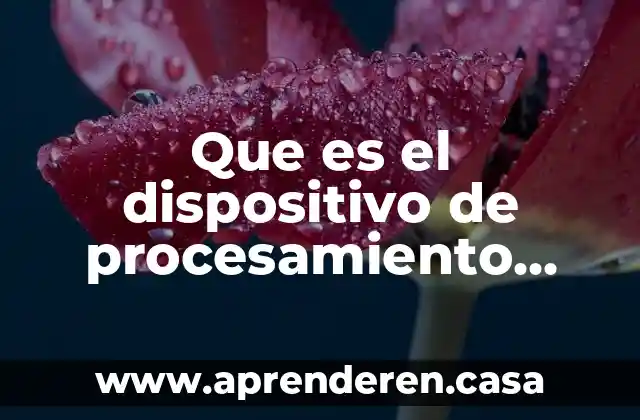 Que es el dispositivo de procesamiento primario de hardware