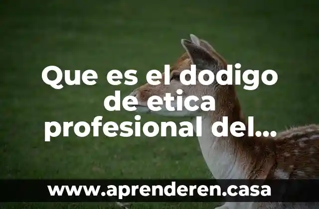 Que es el dodigo de etica profesional del contador publico