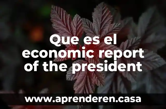 Que es el economic report of the president