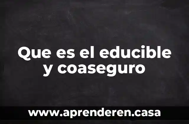 Qué es un procesador AMD A4 8 Que es el educible y coaseguro