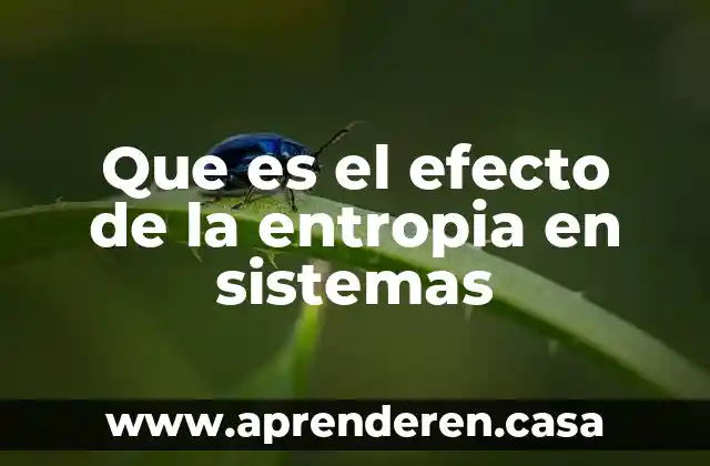 Supra sistemas e infrasistemas que es 3 Que es el efecto de la entropia en sistemas