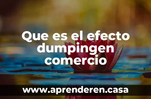 Qué es un bl comercio exterior 6 Que es el efecto dumpingen comercio