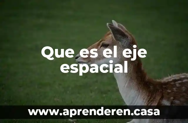 Basura espacial que es 4 Que es el eje espacial