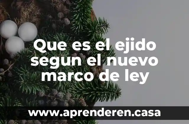 Que es el ejido segun el nuevo marco de ley