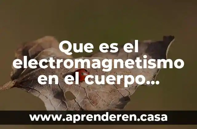 Que es estudia el electromagnetismo 4 Que es el electromagnetismo en el cuerpo humano