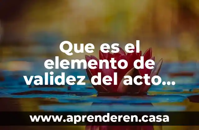 Que es un documento juridico tradicional 6 Que es el elemento de validez del acto juridico