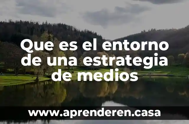 Que es el entorno de una estrategia de medios