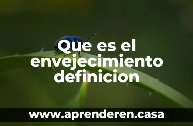Que es el envejecimiento definicion