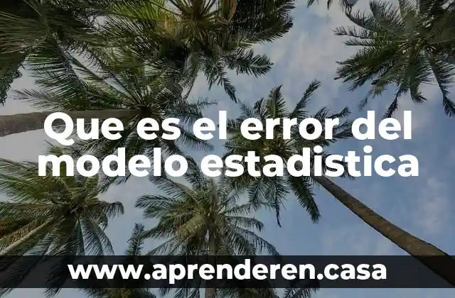 Que es el error del modelo estadistica