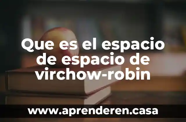 Que es el espacio de espacio de virchow-robin