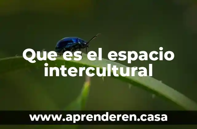 Que es el espacio intercultural