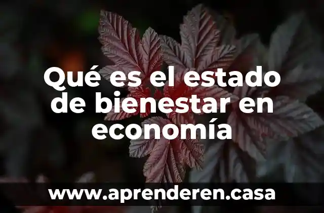 La macroeconomía de una economía abierta que es 6 Qué es el estado de bienestar en economía