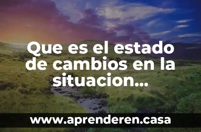 Que es el estado de cambios en la situacion financiera