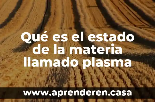 Que es el reo en materia civil 3 Qué es el estado de la materia llamado plasma