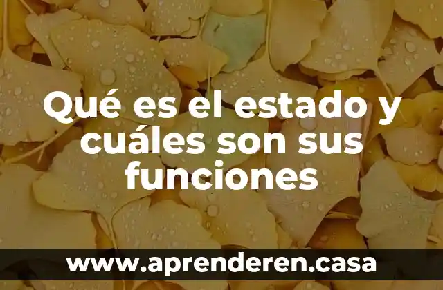 Qué es el estado y cuáles son sus funciones