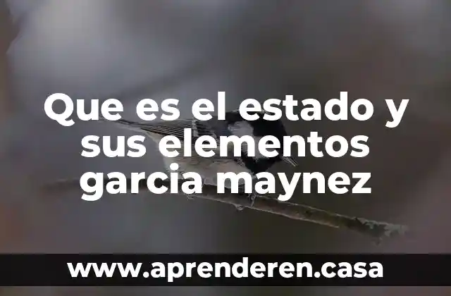 Que es el estado y sus elementos garcia maynez