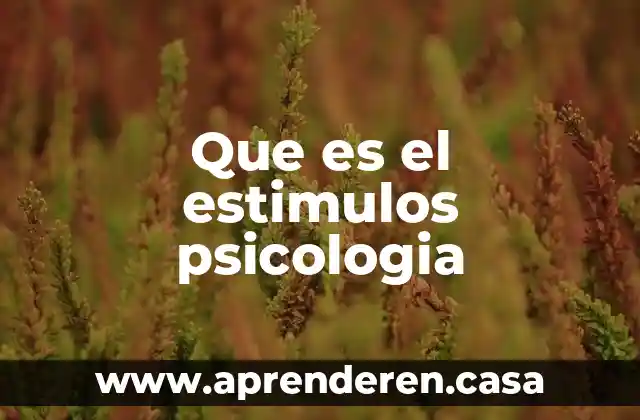 Que es el estimulos psicologia