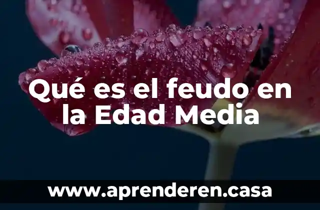 Que es labradores edad media 4 Qué es el feudo en la Edad Media
