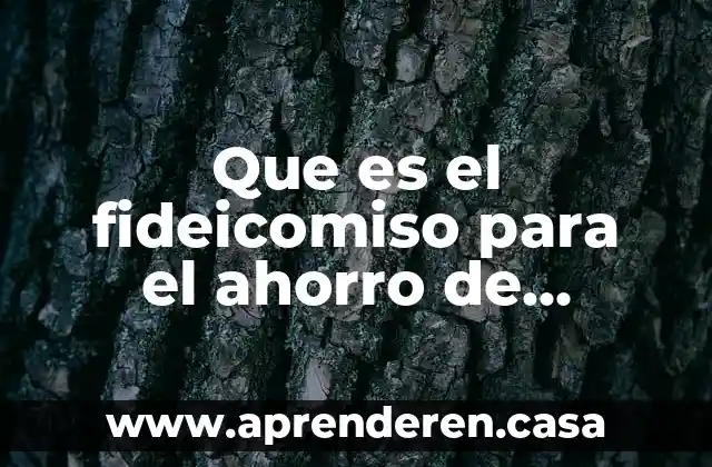 Que es un dispositivo de energia termica 3 Que es el fideicomiso para el ahorro de energía eléctrica