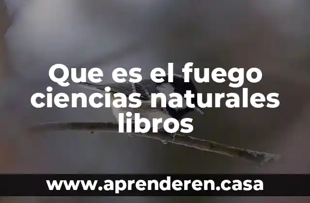 Que es el fuego ciencias naturales libros