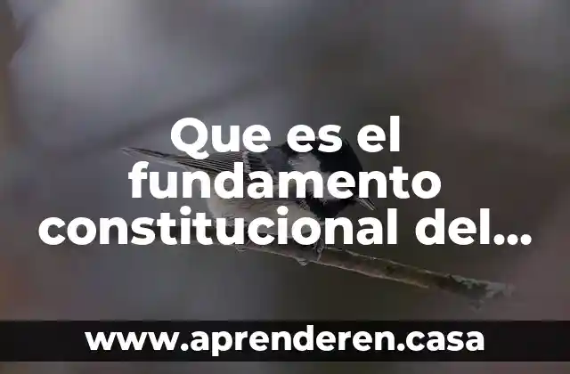 Que es el fundamento constitucional del patrimonio de familia