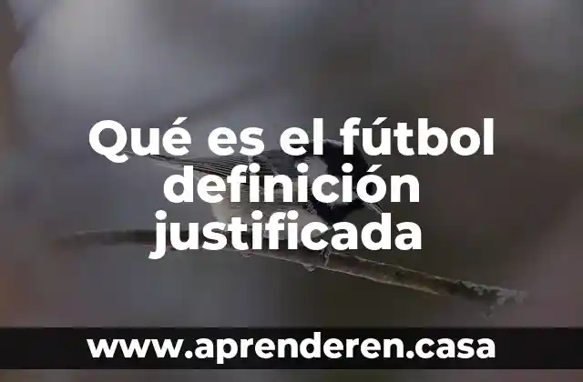 Qué es el fútbol definición justificada