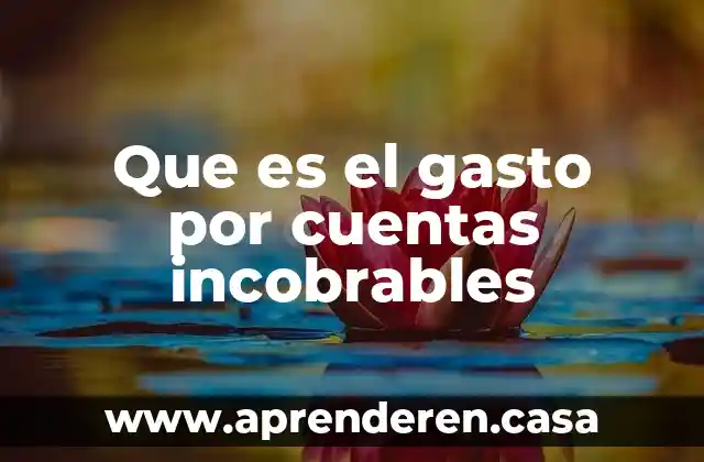 Que es catalogo de cuentas en cintavilidad 8 Que es el gasto por cuentas incobrables