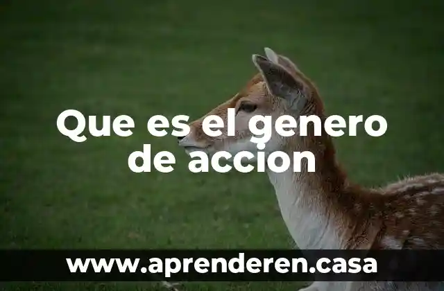 Que es la accion a valor de libors 7 Que es el genero de accion