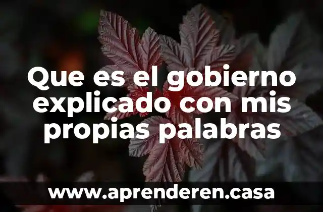 Que es el gobierno explicado con mis propias palabras