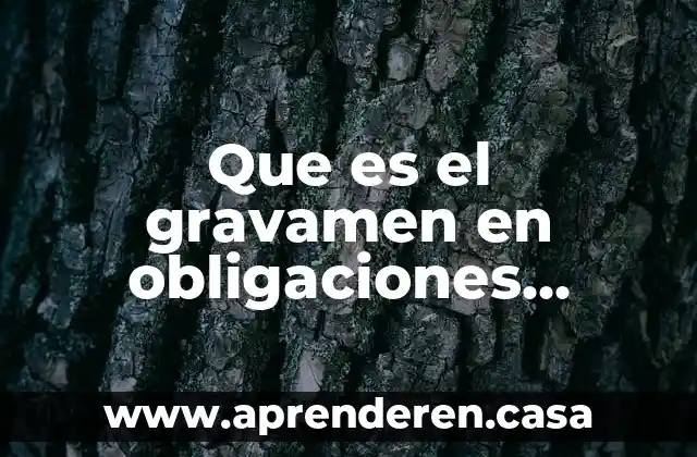 Que es el gravamen en obligaciones fiscales