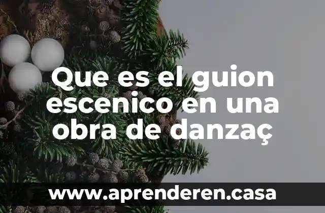 Que es encuadre enun guion tecnico 4 Que es el guion escenico en una obra de danzaç