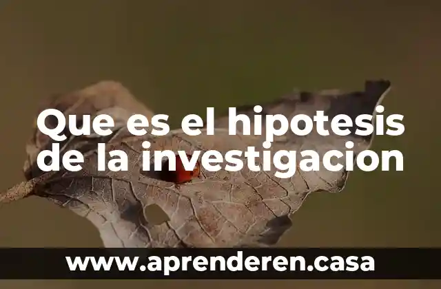 Que es el hipotesis de la investigacion