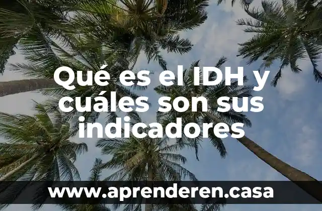 Qué es el IDH y cuáles son sus indicadores