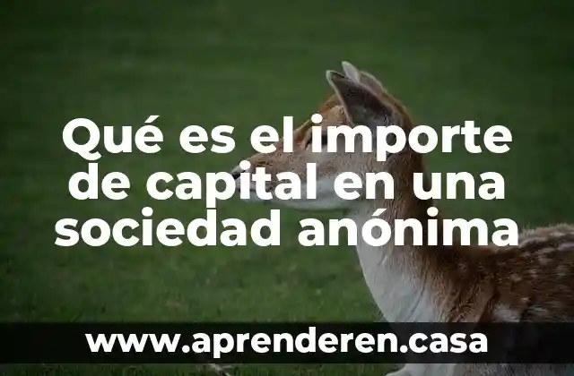 Qué es la composición orgánica de capital 3 Qué es el importe de capital en una sociedad anónima