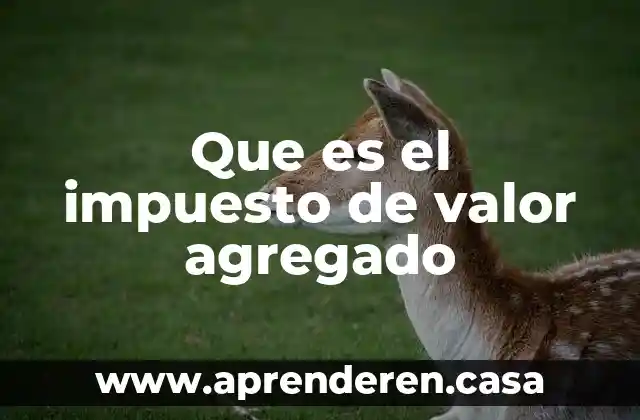 Que es el impuesto de valor agregado