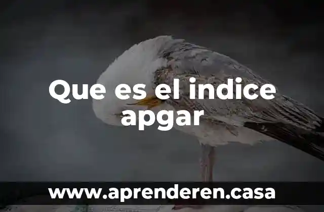 Que es el indice apgar