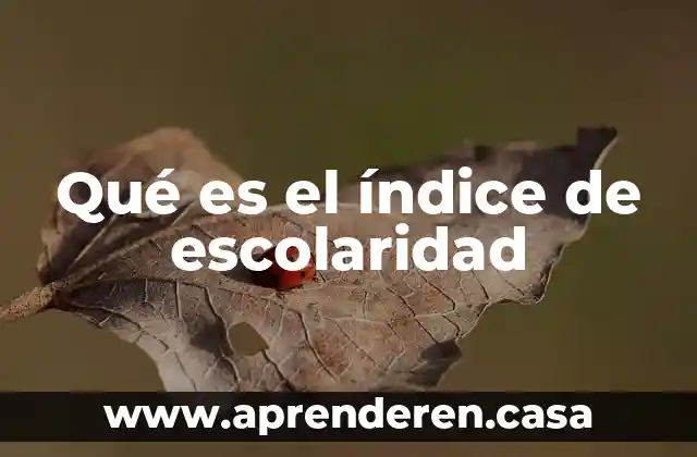 Qué es el índice de escolaridad