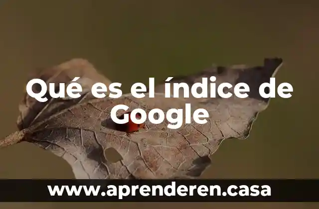 Que es un indice de un informe 3 Qué es el índice de Google